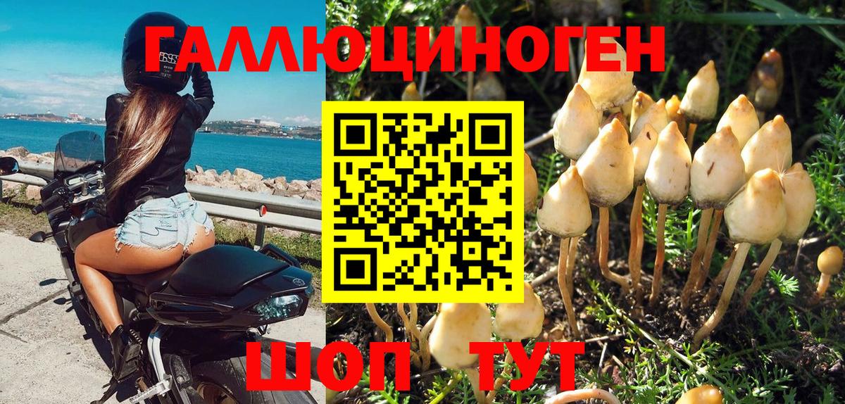 Псилоцибиновые грибы Magic Shrooms Чайковский